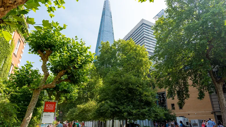 Guy's campus with trees in the foreground and the Shard in the background
