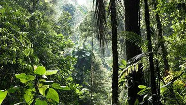 Geography, Environment & Sustainability